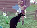 Spel Hertensimulator 3D  online