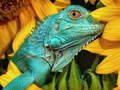 Spel Ultieme puzzels Dieren 6  online