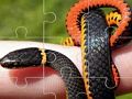 Spel Slangen puzzel  online