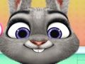 Spel Konijnenoorontsteking  online