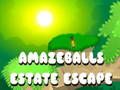 Spel Amazebeballs Estate Escape online