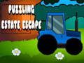 Spel Puzzelende ontsnapping uit het landgoed  online