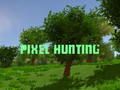 Spel Pixel jacht  online