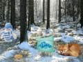 Spel Winter Wonderland Bosavontuur  online