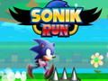 Spel Sonik Run online