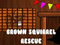 Spel Redding van bruine eekhoorns  online