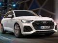 Spel Audi SQ5 TDI Schuif  online