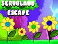 Spel Scrubland ontsnapping  online