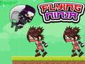 Spel Vliegende Ninja  online