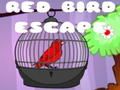 Spel Rode vogel ontsnapt online