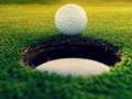 Spel Golfmeesters!  online
