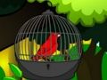 Spel Red de kooivogel  online