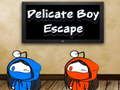 Spel Delicate jongensontsnapping  online