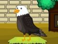 Spel Race auto ontsnapping  online