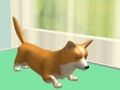 Spel Dierenverzorging  online