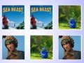 Spel De Match van de Sea Beast Memory Card online