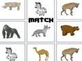 Spel Wedstrijd  online