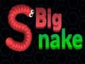 Spel Grote Slang  online