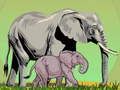 Spel Wilde dieren en hun baby's  online