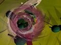 Spel Toynado online
