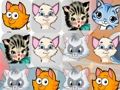 Spel Kittens match3 online