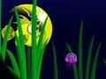 Spel Flash Fish Freddie online