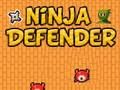 Spel Ninja -verdediger online