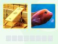 Spel Picword online