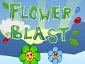Spel Bloemenstoot online