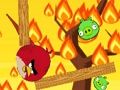 Spel Boze vogels. io  online