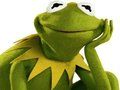 Spel Kleurboek voor Kermit de Kikker  online
