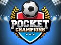 Spel Zak kampioenen  online
