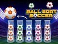 Spel Bal Sorteren Voetbal  online