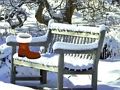 Spel Ontsnap aan Kerstmis uit de tuin  online