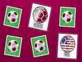 Spel Geheugen WK  online