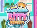 Spel Doc HoneyBerry Kitty-operatie  online