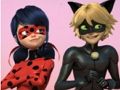 Spel Wonderbaarlijke Lieveheersbeestje & Cat Noir Legpuzzel  online
