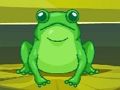Spel Kikker Match Master  online