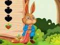 Spel Eekhoorn ontsnappen  online