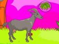 Spel Wolf ontsnapping  online
