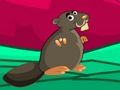 Spel Schildpad Schild Ontsnapping  online