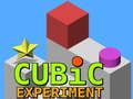 Spel Kubisch experiment  online