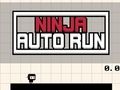 Spel Ninja Auto Run online