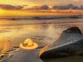 Spel Ontsnap uit Sunset Beach  online