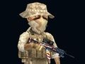 Spel Rush-team  online