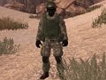 Spel Soldaat van Homeland: Sahara  online