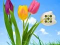 Spel Bloem Gazon Ontsnapping  online