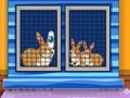 Spel Zoek de EHBO-kit voor dieren  online