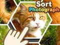 Spel Sorteer foto  online