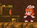 Spel Het verloren bos  online